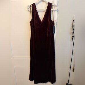 Rachel Zoe Sleeveless Velvet Maxi Dress in Burgundy